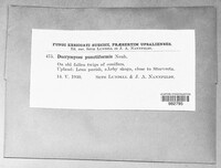 Image Associated With the Occurence